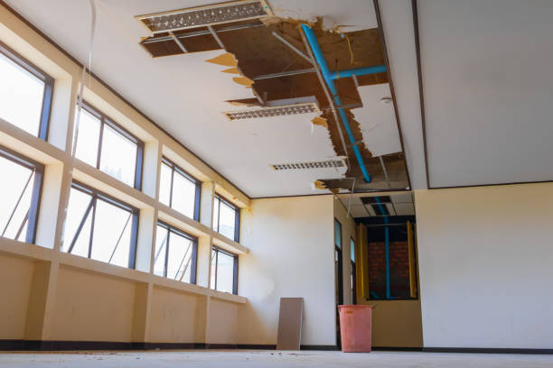 Best Flooded house restoration  in Nanawale Estates, HI