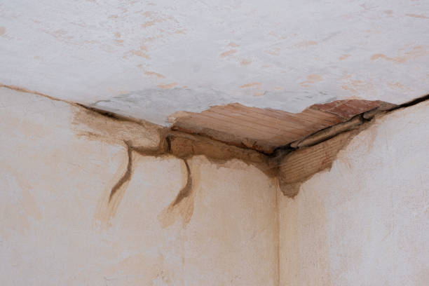 Best Basement water damage restoration  in Nanawale Estates, HI