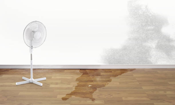 Best Flooded house restoration  in Nanawale Estates, HI