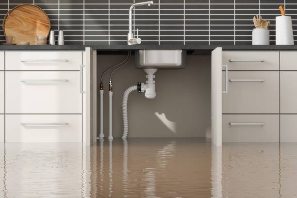 Best Water damage cleanup near me  in Nanawale Estates, HI