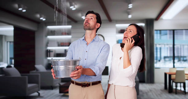 Best Fire Damage Restoration  in Nanawale Estates, HI