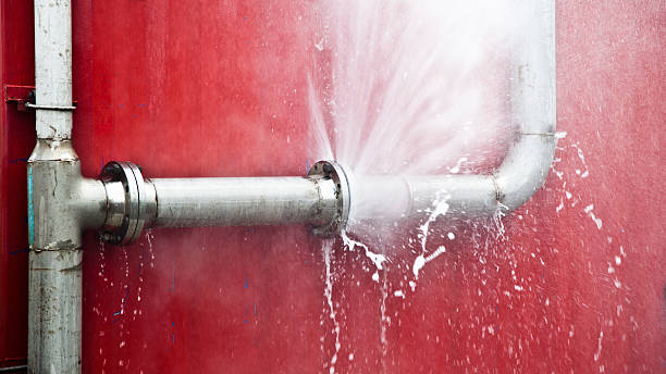 Best Ceiling water damage repair  in Nanawale Estates, HI